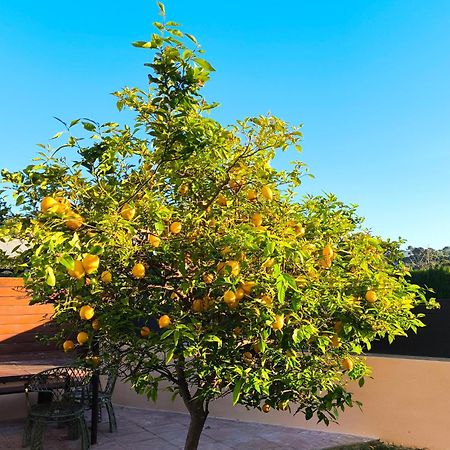 Adosado Con Jardin En Los Xalets De Salou Zewnętrze zdjęcie